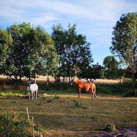 Le Manoir Du Butel 3*